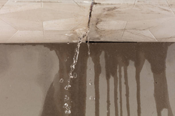 Professional Water Damage Repair technician working in Newton, IL